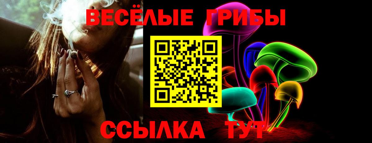 Галлюциногенные грибы Psilocybine cubensis Мелеуз