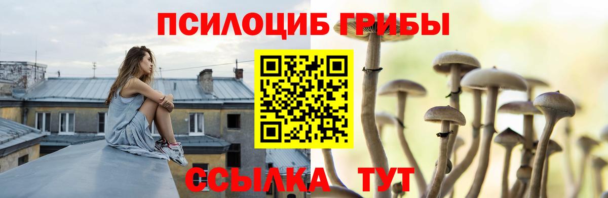 Галлюциногенные грибы мицелий  Вход с VPN  Мелеуз 